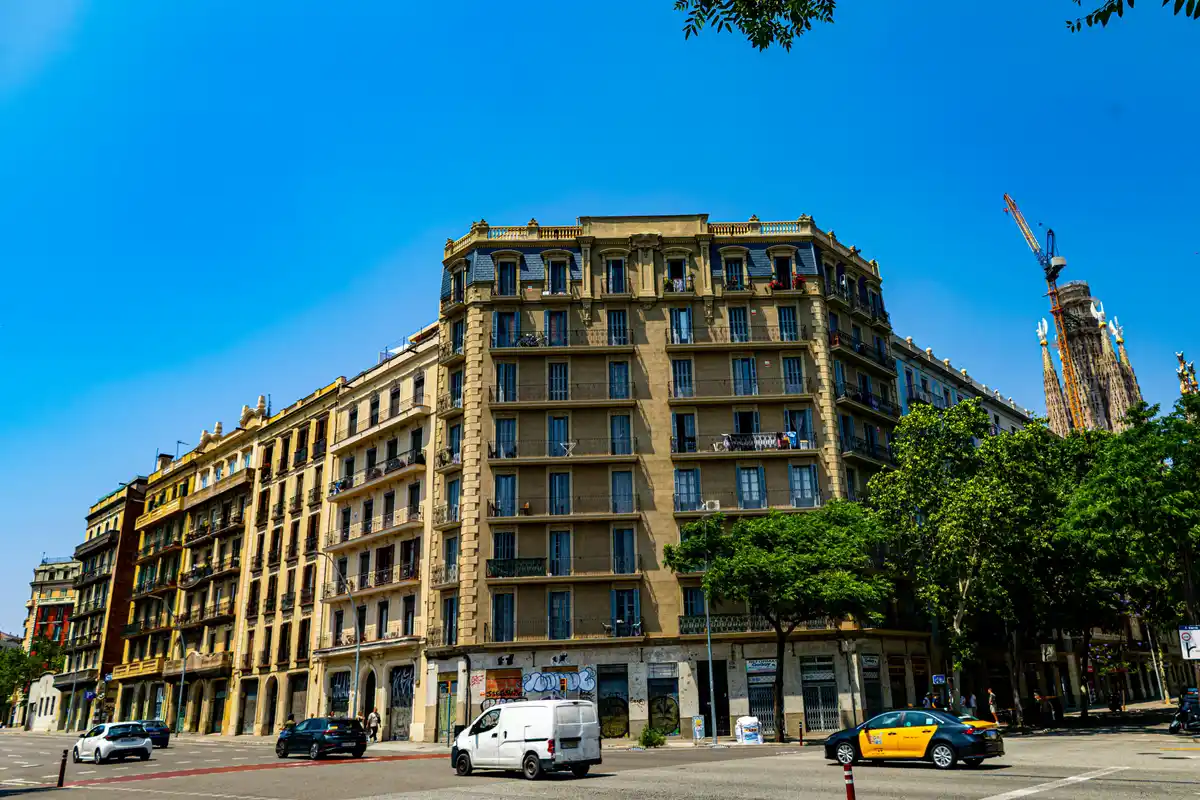 Whitmore Field team — real estate